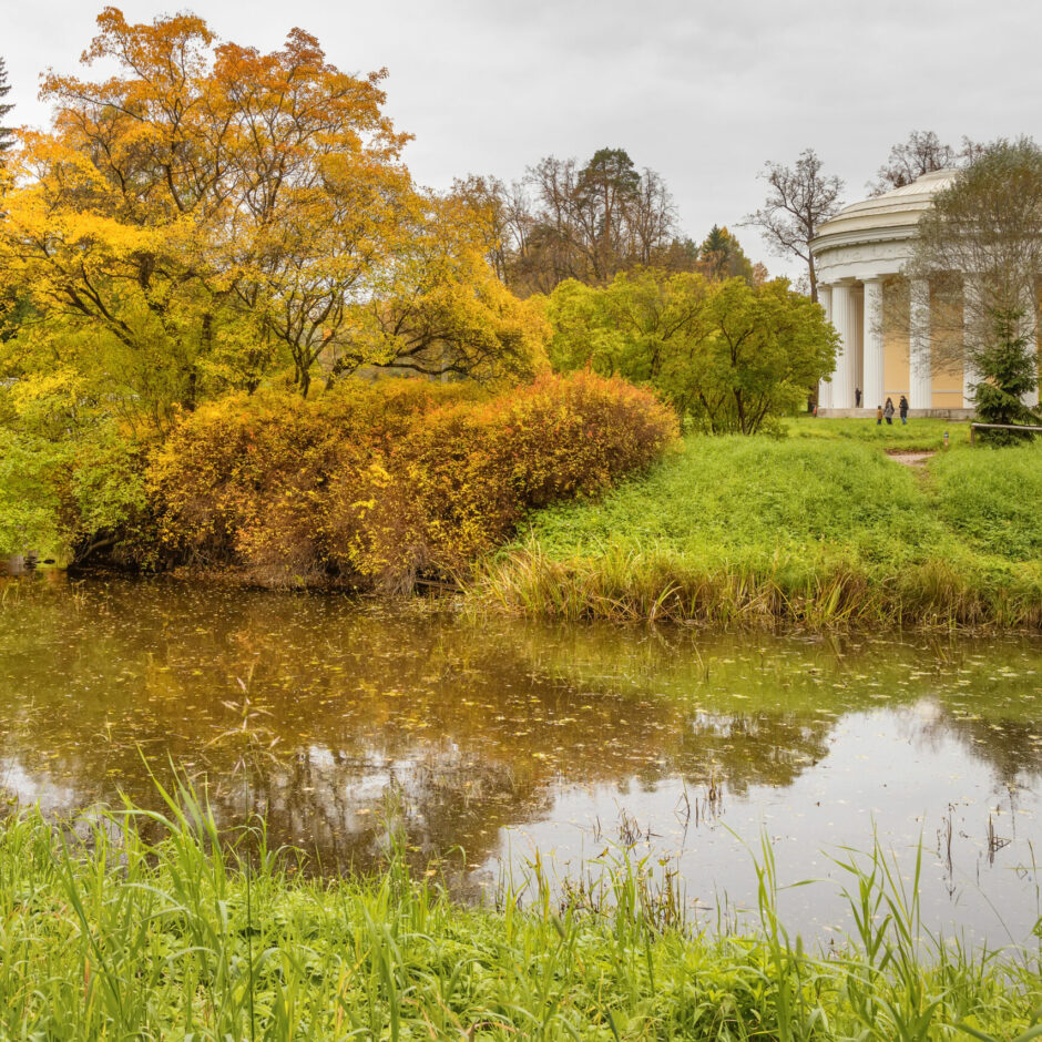 dīķis ar lapeni rudenī